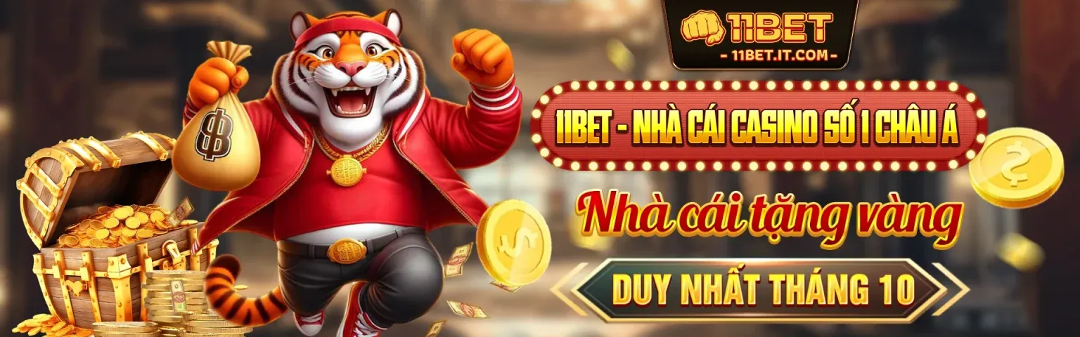 Hình ảnh chính blog bong365 win về cá cược thể thao và trò chơi casino